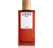 Loewe Solo Cedro EDT 100 ml S0584689