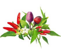 Click & Grow Plant Pod Chili Pepper Mix 9pcs PPMCPX9
