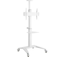 Monitora stiprinājums Gembird Aluminum TV Floor Stand with Caster Wheels White TVS-70T-02-W