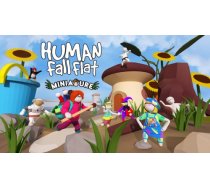 Sony PS4 Human Fall Flat Dream Collection 5056635603449