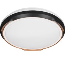 Activejet LED ceiling light AJE-PETRUS 24W AJE-PETRUS 24W