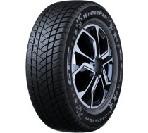 165/70R14 GT RADIAL WINTERPRO 2 (EVO) 81T Studless DCB69 3PMSF M+S 100A4921