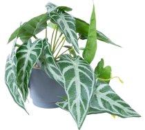 Artificial plant GREENLAND H15cm, alocasia 88313