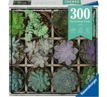 Ravensburger Puzzle Moment: Green (300pcs) (12967) 12967