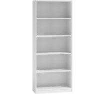 Top E Shop Topeshop R60 BIEL office bookcase R60 BIEL