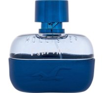 Hollister Festival / Nite 100ml M / Eau de Toilette 085715268617