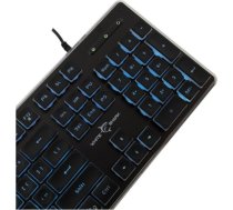 White Shark GK-003141 Tachi Black US TACHI-B-US