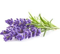 Click & Grow Plant Pod Lavender 9pcs WFR30X9