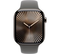 Apple Watch Series 10, Smartwatch (slate, titanium case, 46 mm, stone grey sport band M/L, cellular) MWYE3QF/A