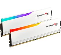 G.Skill DDR5 - 48GB - 5600 - CL - 40 (2x 24 GB) dual kit, memory (white, F5-5600J4040D48GX2-RM5RW, Ripjaws M5 RGB, INTEL XMP) F5-5600J4040D48GX2-RM5RW