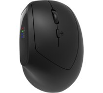 CANYON mouse MW-25 Ergonomic LED AA Dual mode Wireless Black CNS-CMSW25