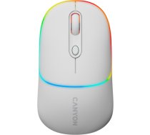 CANYON mouse MW-26 LCD Silent Dual Mode Wireless Green CNS-CMSW26GR