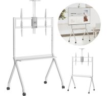 Maclean TV stand / cart, camera shelf, on casters, 55-100", max load 120kg/10kg shelf, max. VESA 900x600, white, MC-114 W MC-114 W