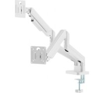 Monitora stiprinājums Gembird 17"-32" MA-DA2-06-W