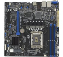 ASUS P13R-M Intel C262 LGA 1700 micro ATX 90SB0C70-M0UAY0