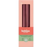 Bolsius Galda sveces 4gab.kastē 245/24mm tumši sarkanas 37356947