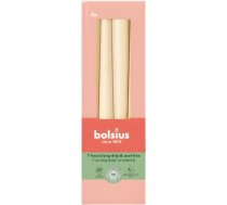 Bolsius Galda sveces 4gab.kastē 245/24mm bēšas 37356920