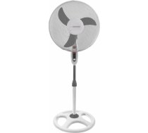 ESPERANZA EHF002WE FAN white / gray EHF002WE - 5901299914434