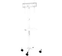 TV stiprinājums Gembird 32" - 55" TV floor stand with caster wheels White TVS-55T-03-W