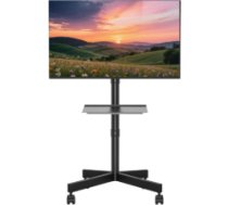 TV stiprinājums Gembird 32" - 55" TV floor stand with caster wheels TVS-55T-03