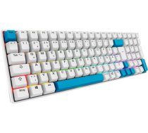 Sharkoon SKILLER SGK50 S2 PBT (white, DE layout, Gateron G Pro 3.0 Yellow) 4044951040865