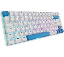 Sharkoon SKILLER SGK50 S3 PBT (white/light blue, DE layout, Gateron G Pro 3.0 Yellow) 4044951039197