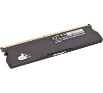 Patriot Premium Black DDR5 12GB 5600MHz Radiator 1Rank PSP512G56041H1