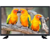TV LIN LED 24” (174696) HD READY 5905279174696
