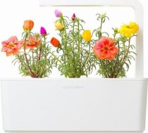 Click & Grow Smart Garden uzpilde Muskusroze 3gb. 4742793007434