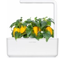 Click & Grow gudrā augu dārza uzpilde Dzeltenā saldā paprika 3gb. 4742793008950