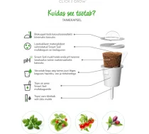 Click & Grow Smart Garden uzpilde MeЕѕa zemenes 3gb. 4742793007410