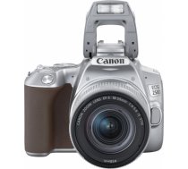 Canon EOS 250D + 18-55mm IS STM Kit, sudrabots 3461C001