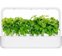 Click & Grow Smart Garden uzpilde Kanēļa baziliks 3gb. SGR71X3
