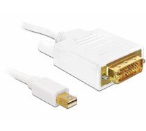 Delock Cable Displayport mini male > DVI 24pin male 2 m 82918