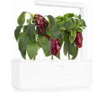 Click & Grow Smart Garden uzpilde Sarkanā paprika 3gb. SGR63X3