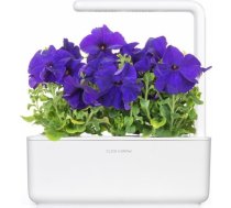 Click & Grow Smart Garden refill Blue Petunia 3pcs SGR72X3
