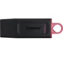 (Ir veikalā) MEMORY DRIVE FLASH USB3.2/256GB DTX/256GB KINGSTON DTX/256GB