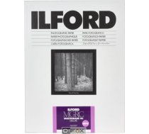 1x100 Ilford MG RC DL 1M 9x13 HAR1179778