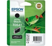 Ink Epson T0541 photo black | Stylus Photo R800/1800 C13T05414010