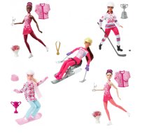 Barbie Lelles un aksesuāri - Barbie Winter Sports Asst Lelle HCN30, 0194735015610, HCN30, Barbie Winter Sports Asst. lelle