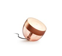 Philips Hue Hue Iris Portable Lamp, Copper Special Edition | Copper/brass | Portable lamp (8719514411586)