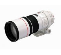 Canon EF 300mm f/4.0L USM IS