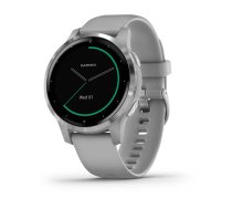 Garmin Vivoactive 4S Powder Gray/Silver (010-02172-03)