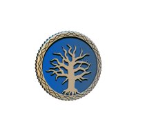 Cephalofair Games Frosthaven Challenge Coin