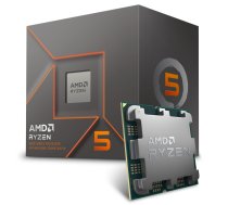 AMD Ryzen 5 8500G (100-100000931BOX)