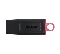 Kingston DataTraveler Exodia USB 3.2 256GB (DTX/256GB)
