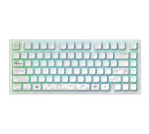 Dark Project ALU81A Terra Nova White, G3MS Moonstone Switch, US