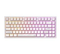 Dark Project ALU81A Terra Nostra White, G3MS Moonstone Switch, RU