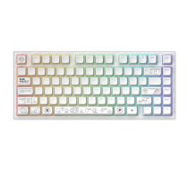 Dark Project ALU81A Terra Nova White, G3MS Moonstone Switch, RU