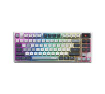 MSI FORGE GK600 TKL WIRELESS SKY | Gaming Keyboard | Wireless | US | Bluetooth | 2.4 GHz, Bluetooth, USB 2.0 | Mechanical Linear